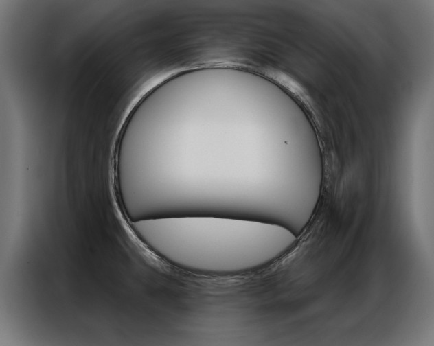 X0000086951431200704161047