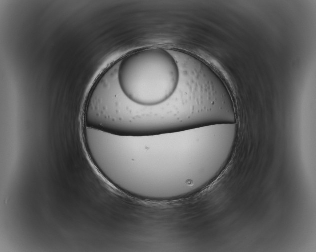 X0000086951432200704161047