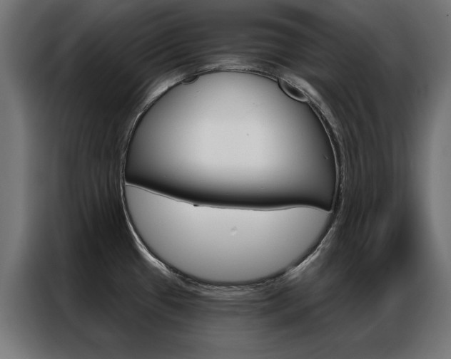 X0000086951433200704161047