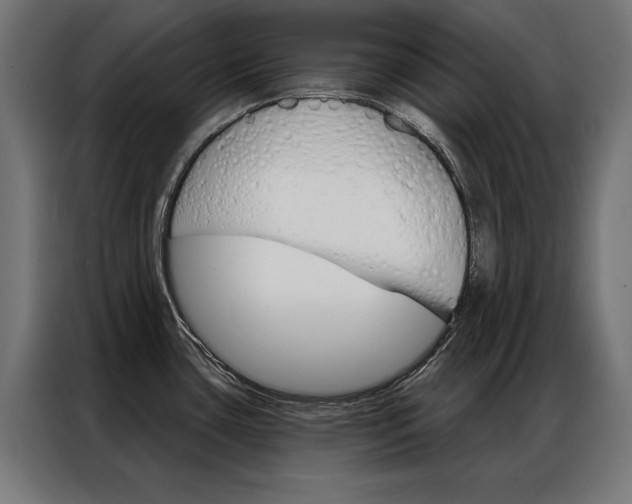 X0000086951435200704161047