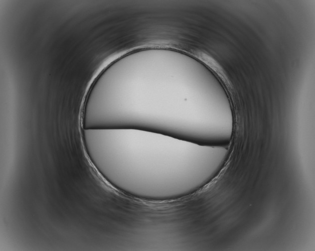 X0000086951436200704161047