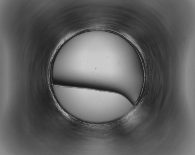 X0000086951437200704161047