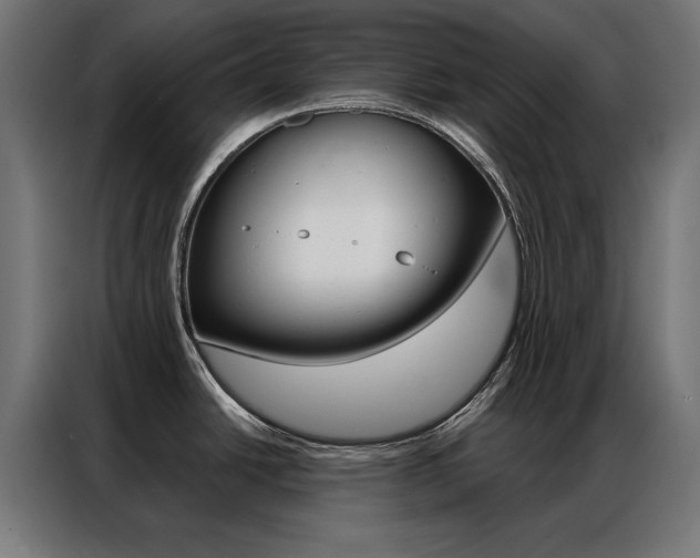 X0000086951438200704161047