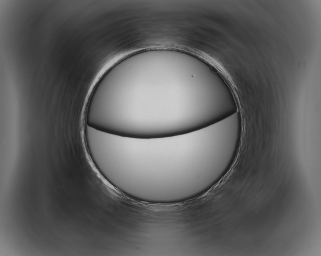 X0000086951440200704161047
