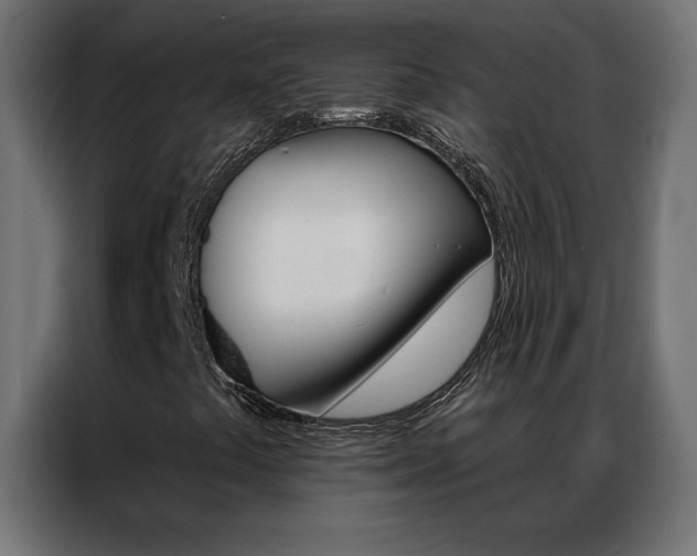 X0000086951441200704161047