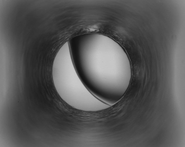 X0000086951442200704161047