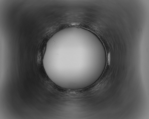 X0000086951443200704161046