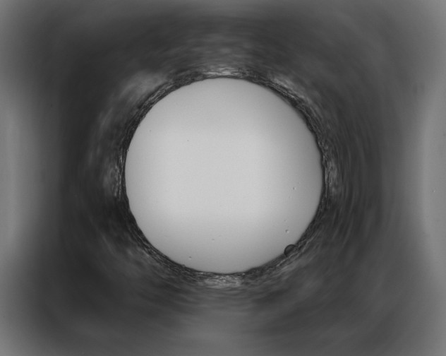 X0000086951446200704161046