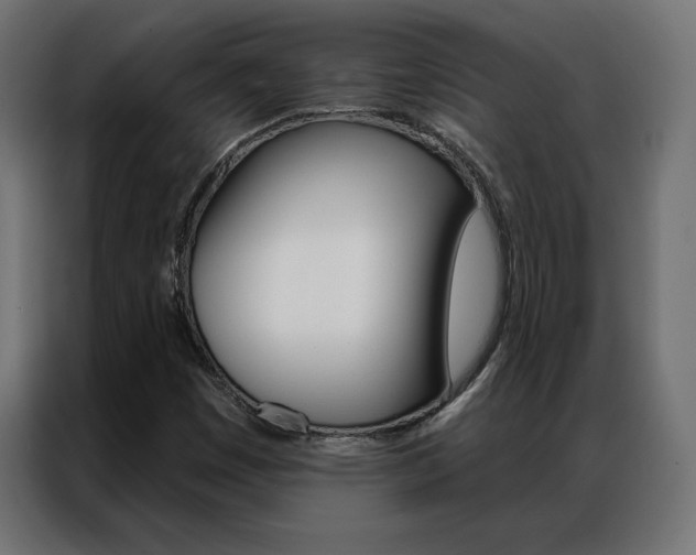X0000086951449200704161046