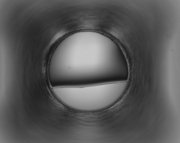 X0000086951450200704161046