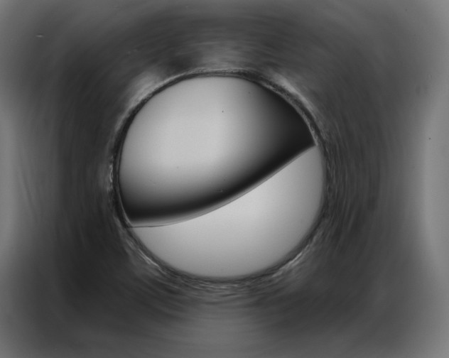 X0000086951459200704161046