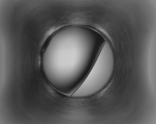 X0000086951461200704161046