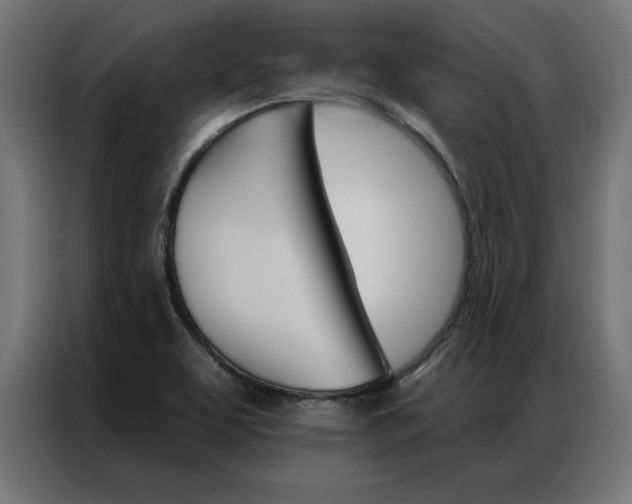 X0000086951463200704161046
