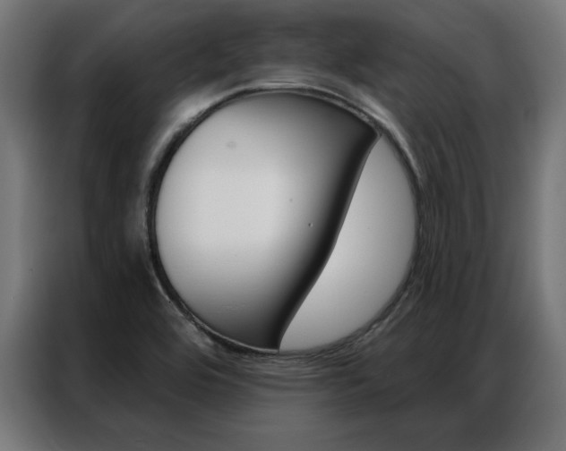 X0000086951464200704161046