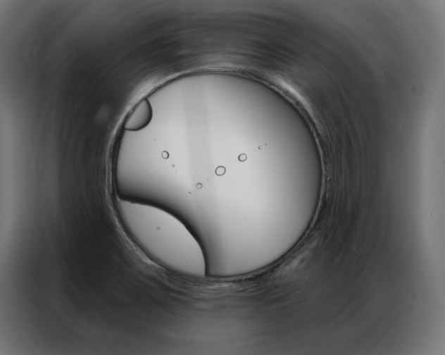 X0000086951467200704161046