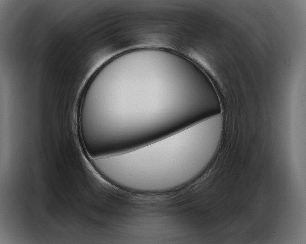 X0000086951468200704161046
