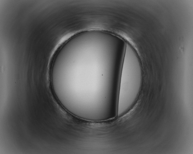 X0000086951469200704161046