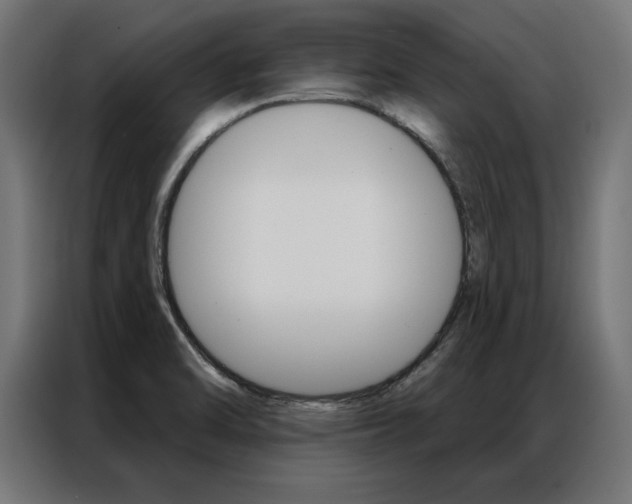 X0000086951470200704161046