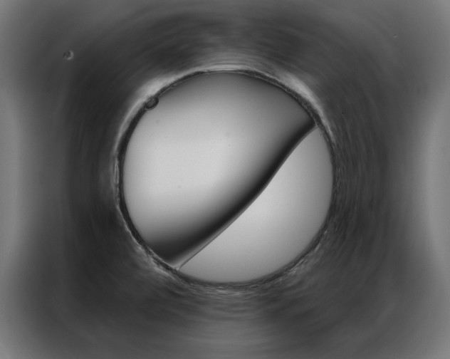 X0000086951472200704161046