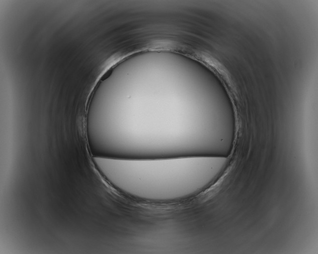 X0000086951473200704161046