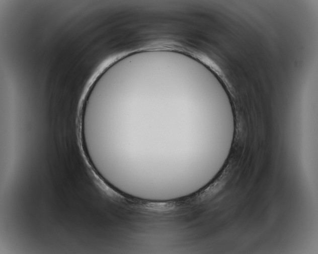 X0000086951478200704161046