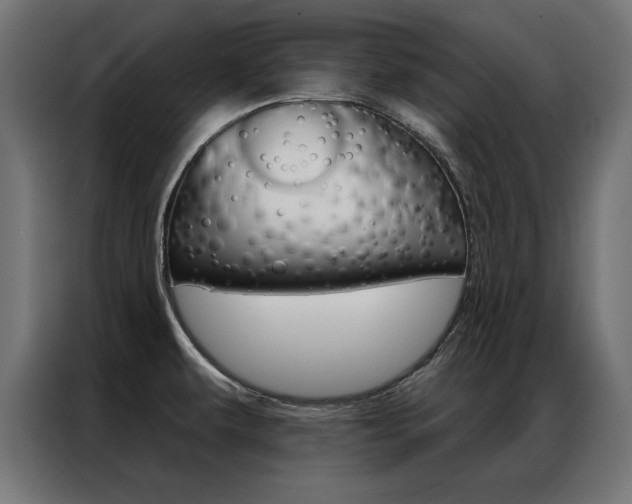 X0000086951479200704161046