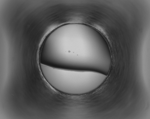 X0000086951480200704161046
