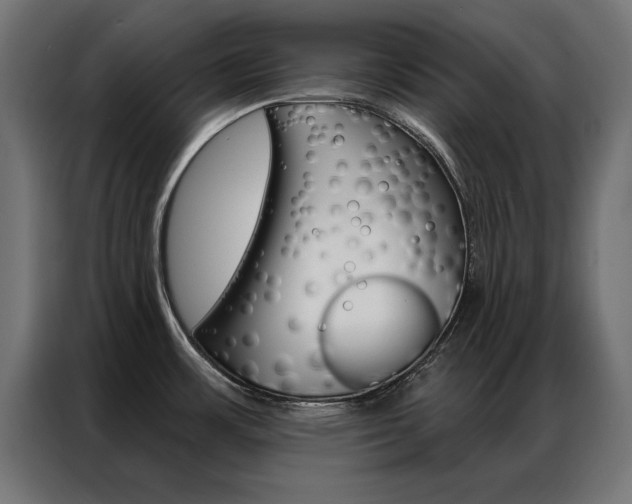 X0000086951483200704161046
