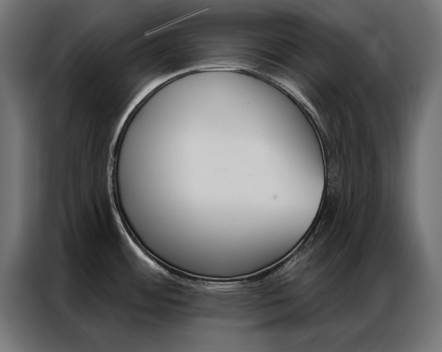 X0000086951484200704161046