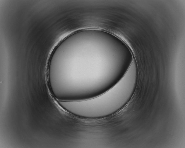 X0000086951485200704161046
