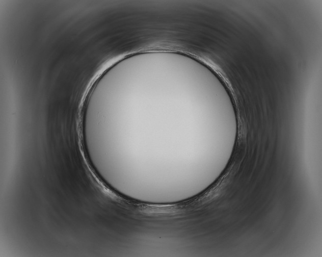 X0000086951486200704161046