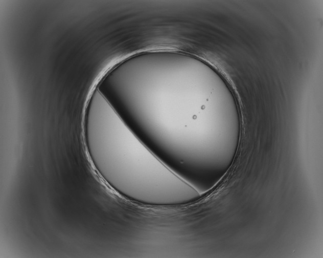 X0000086951488200704161046