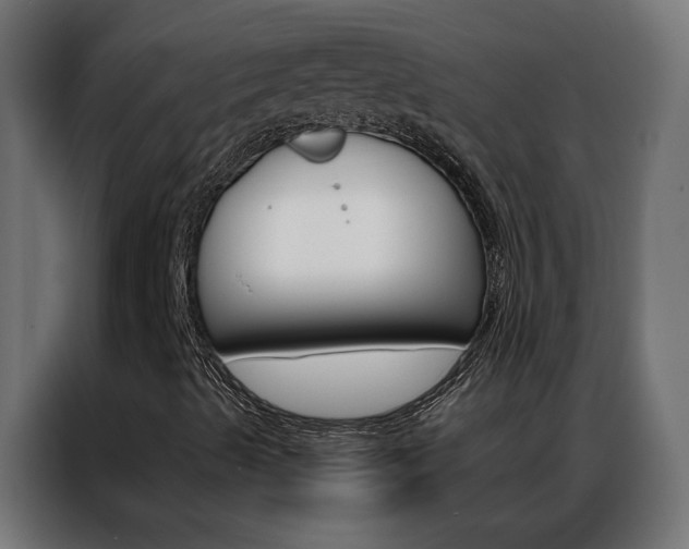 X0000086951489200704161045