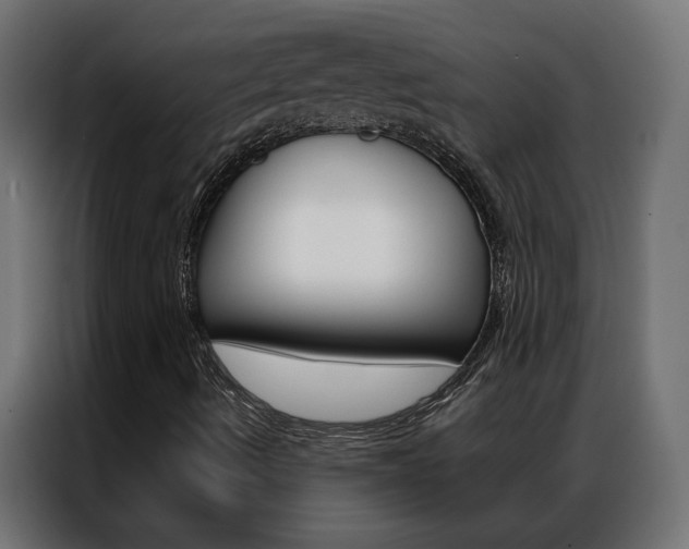 X0000086951490200704161045