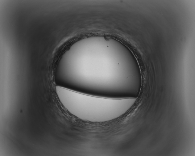 X0000086951494200704161045