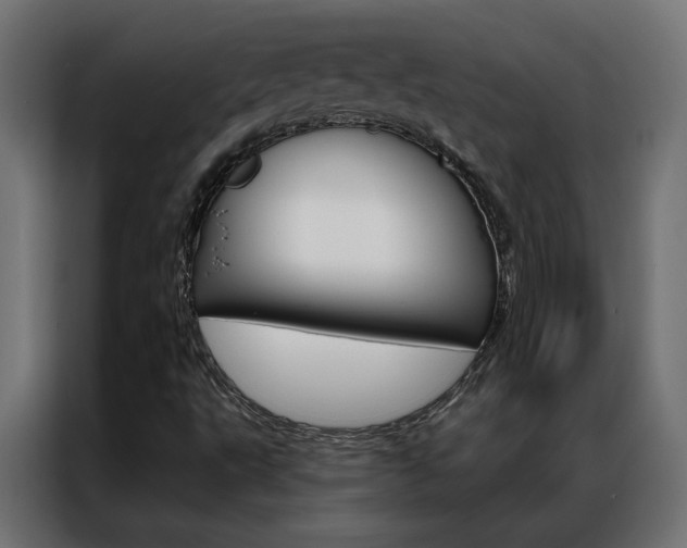 X0000086951495200704161045