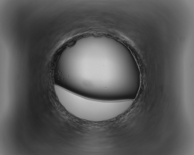 X0000086951496200704161045
