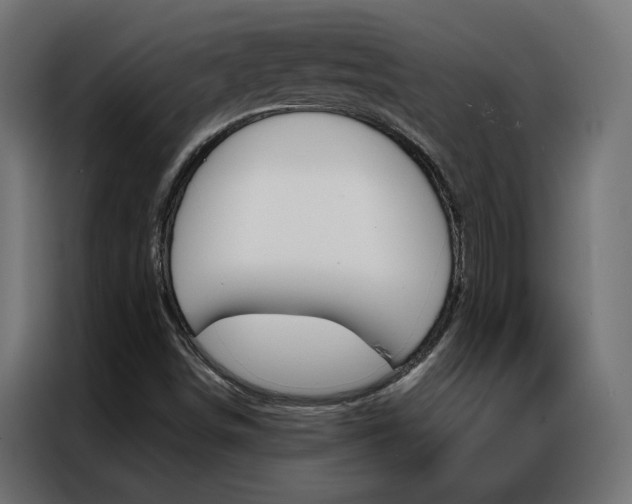 X0000086951498200704161045