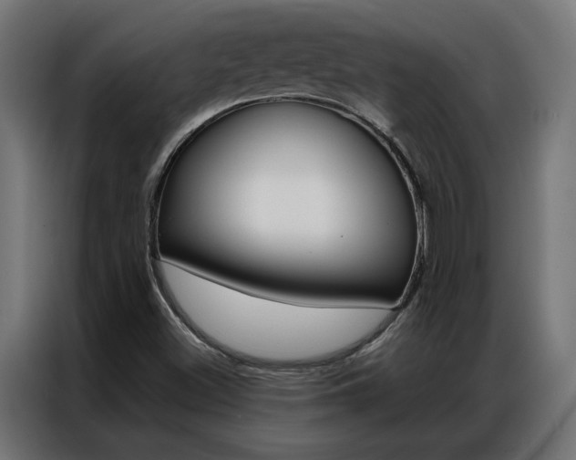 X0000086951500200704161045