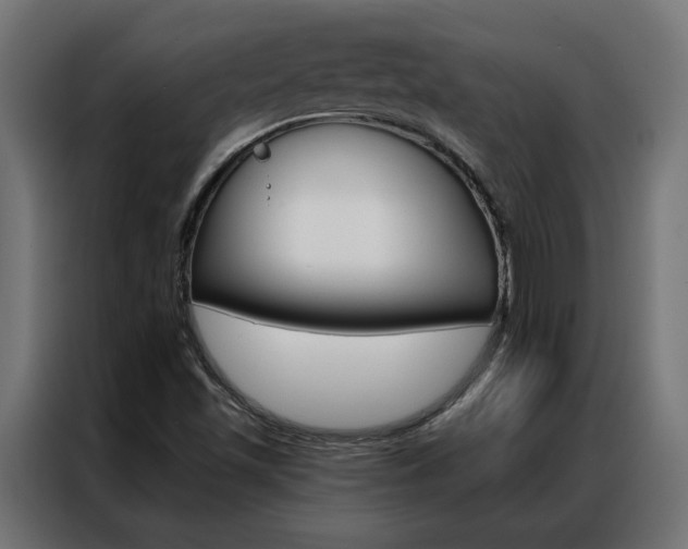 X0000086951501200704161045
