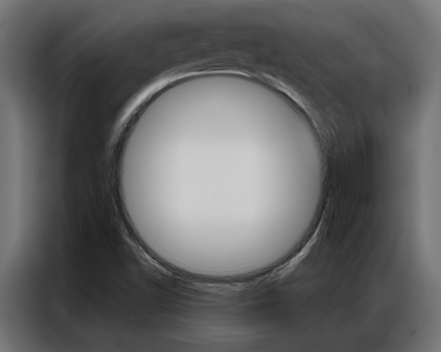 X0000086951502200704161045