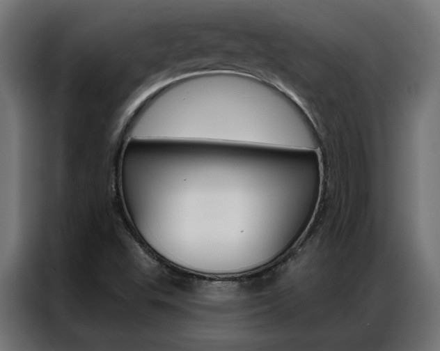 X0000086951503200704161045