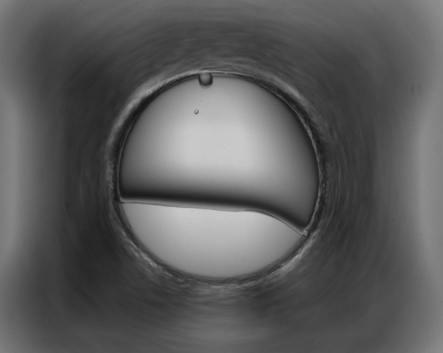X0000086951506200704161045