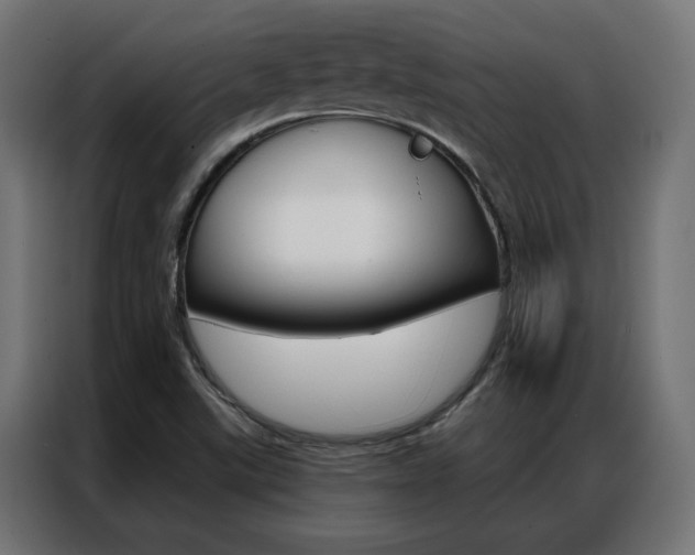 X0000086951507200704161045