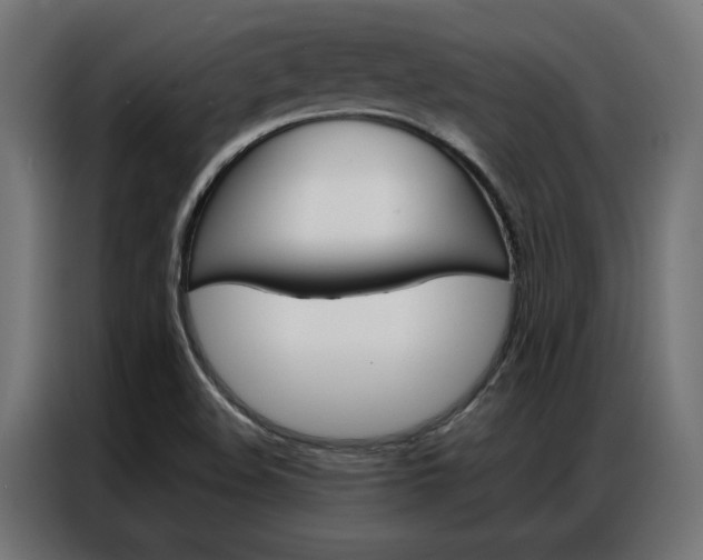 X0000086951508200704161045