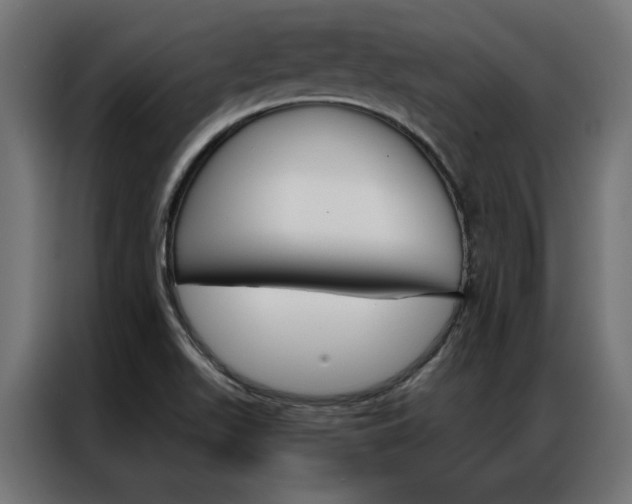 X0000086951511200704161045