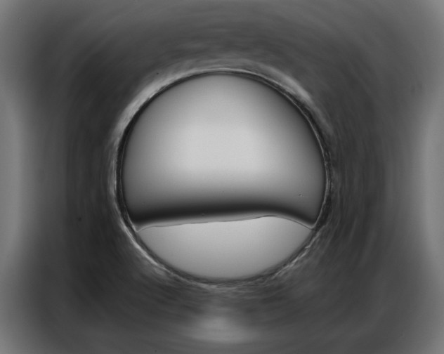 X0000086951512200704161045