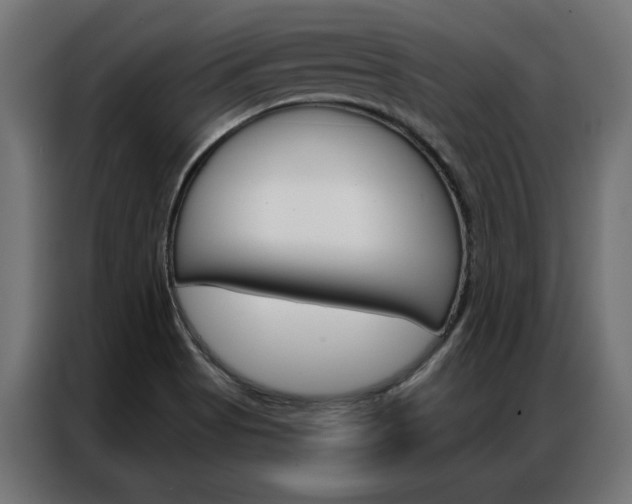 X0000086951513200704161045