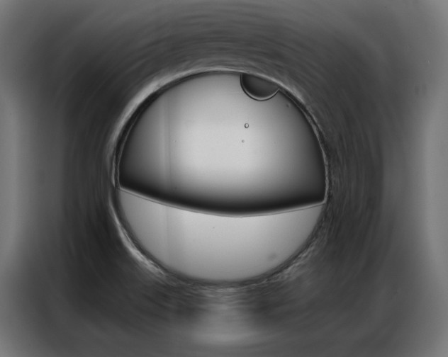 X0000086951515200704161046