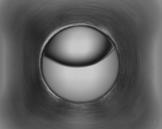 X0000086951516200704161046